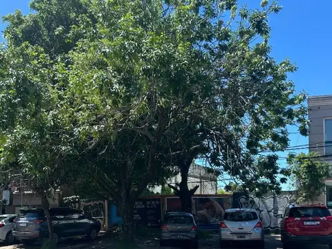Terreno en Alquiler en San Isidro, USD 6.000