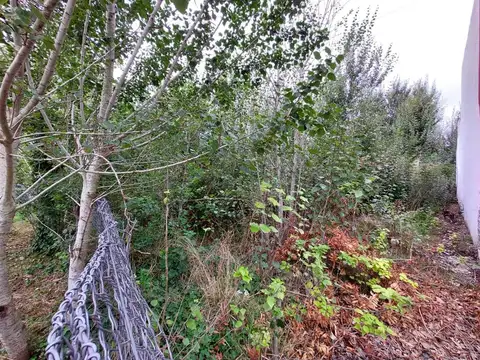 Calle Haras Malal Hue 200