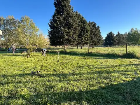 Terreno en Venta de 1400,0 m2