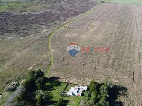 CAMPO VENTA 32 HECTAREAS EN GENERAL MADARIAGA
