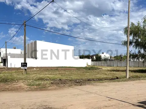 Alsina y Perillo