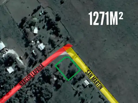 Narciso Laprida y San Martin