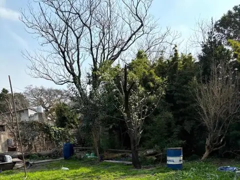 Venta Terreno De 24 X 37 Mts Sobre Cardeza