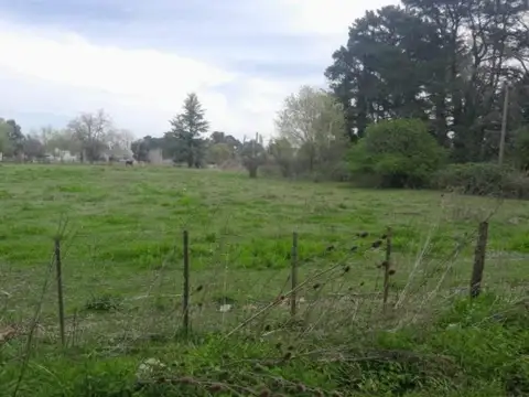 Los Ombúes y Hudson