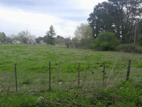 Terreno en Venta de 2215,0 m2