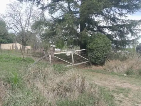 Los Ombúes y Hudson