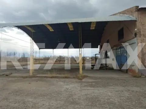 Galpon en Alquiler 46 años