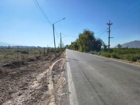 Terreno de 29739 m2 sobre calle las moras zonda