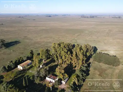FRACCON DE CAMPO A LA VENTA EN LA PLATA, SOBRE AUTOVÍA 2 CON ZONIFICACIÓN PARA CLUB DE CAMPO.