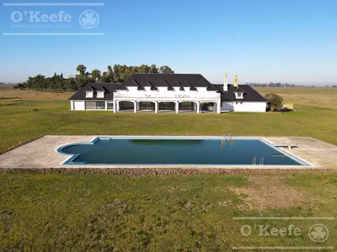 Campo en venta 1030 has sobre Autovia 2. Apto club de campo