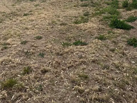 Terreno en Venta de 300,0 m2