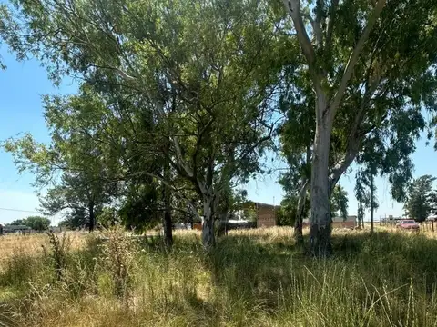 Terreno en Venta de 325,0 m2