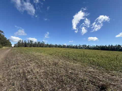 Campo en Barrio Batan