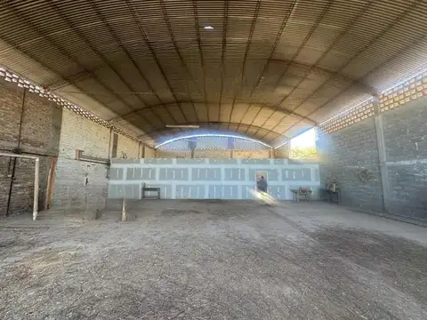NICOLAS SERPA 100