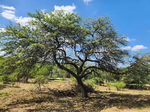 Terreno en Venta en Countries y Barrios Cerrados en Mendiolaza, USD 89.000