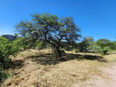 Lote en Venta – Barrio cerrado sobre calle Consolación – 1010 m² – Fondo Norte – Mendiolaza Golf