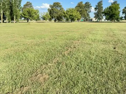 Terreno en Venta 20  mts Frente