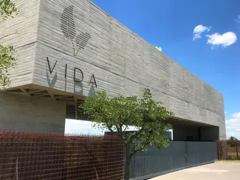 Vida