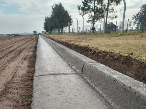 El Calden 5600
