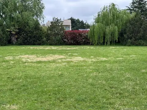 Terreno en Venta en Arturo Segui, USD 62.000