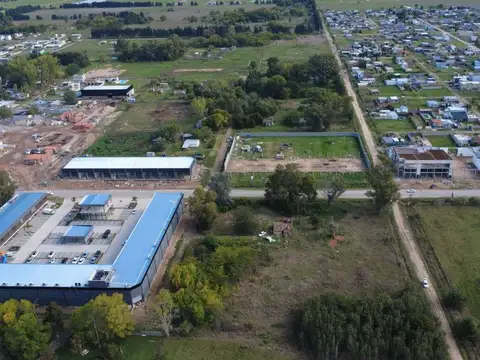 El pampero
