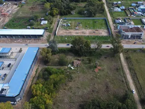 El pampero