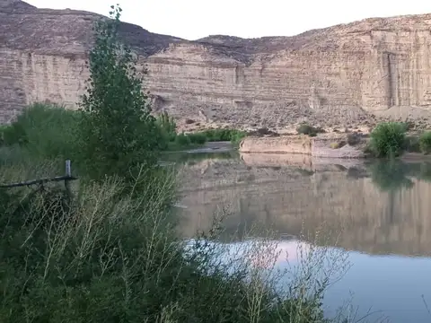 Campo en Venta de 3.636  ha