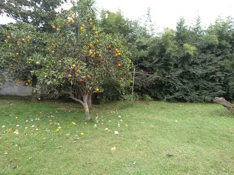 Terreno en Venta en Berazategui, USD 35.000