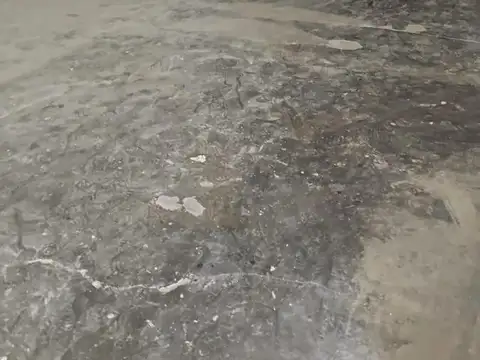 Camino las Violetas e/ José Hernández y Esteban Echeverría