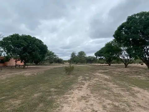 Campo en venta - Cuadro Nacional - San Rafael