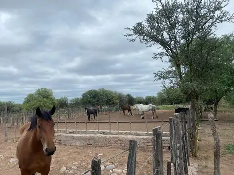 Campo en venta - Cuadro Nacional - San Rafael