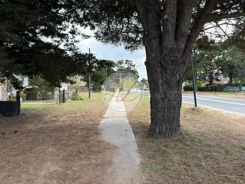 Terreno en Venta en Ostende, USD 220.000