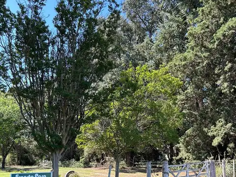 Quinta en  Venta en Barrio Santa Clara de TRENQUE LAUQUEN