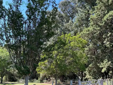 Quinta en  Venta en Barrio Santa Clara de TRENQUE LAUQUEN
