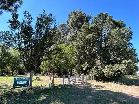 Quinta en Venta en Trenque Lauquen, USD 200.000