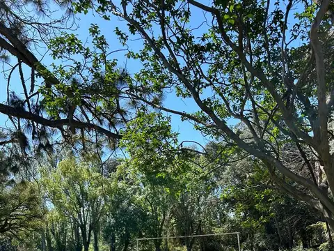 Quinta en Venta en Trenque Lauquen, USD 200.000