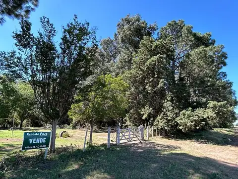 Quinta en Venta en Trenque Lauquen, USD 200.000