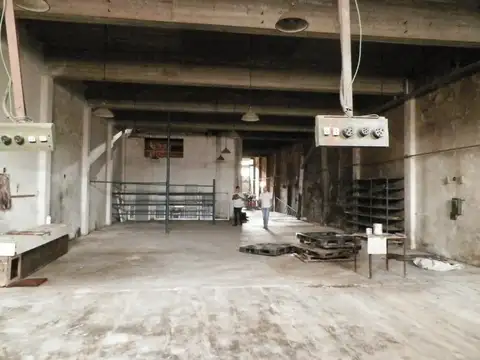 Lucena  3545