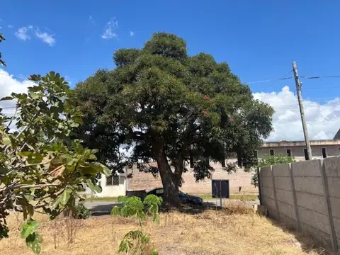 Terreno en Venta en San Pedro, USD 48.000