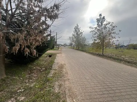 VENTA