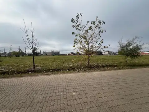 La CampiÑa 1