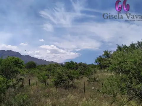 SAN MIGUEL - CORTADERAS