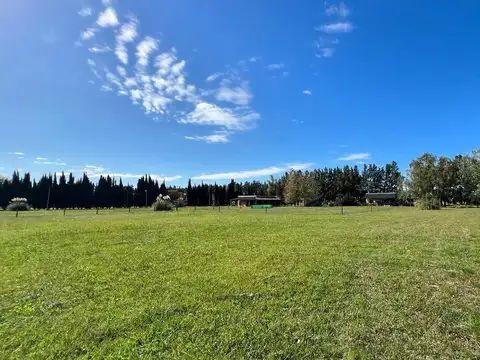 Quinta en Venta con 10 cocheras