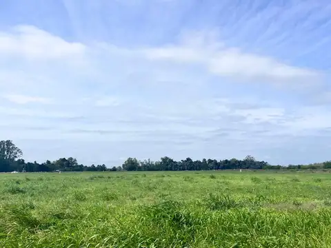 Terreno en Venta 40  mts Frente