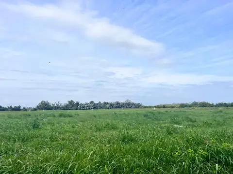 Terreno en Venta de 2000,0 m2