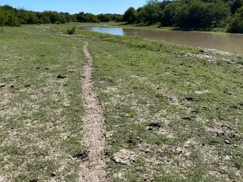 Campo en Venta de 150  ha