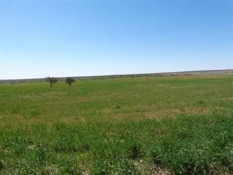 Casa en Alquiler A Estrenar