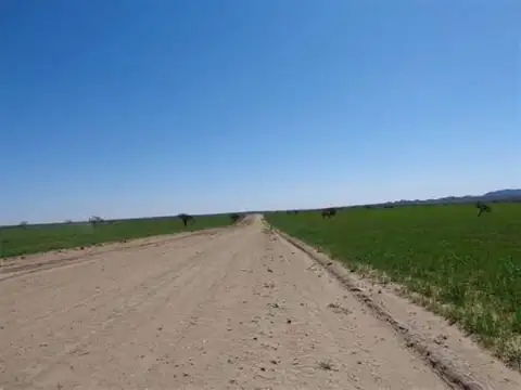 Campo  en Alquiler en Varela, San Luis Capital, San Luis