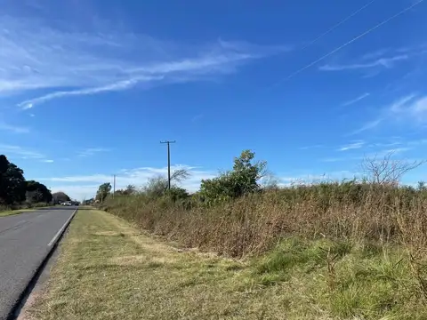 CAMPO EN VENTA EN PERGAMINO SOBRE RUTA N° 178