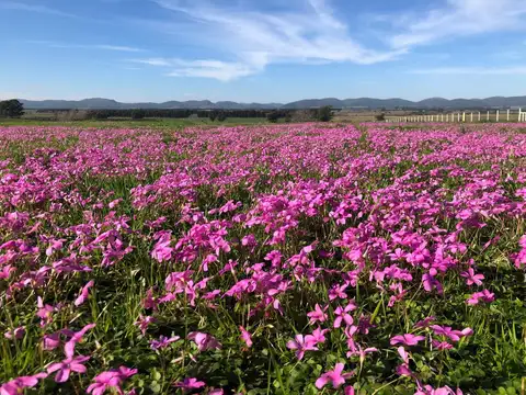 Campo Chacra casa cabaña Aguas Blancas Lavalleja
